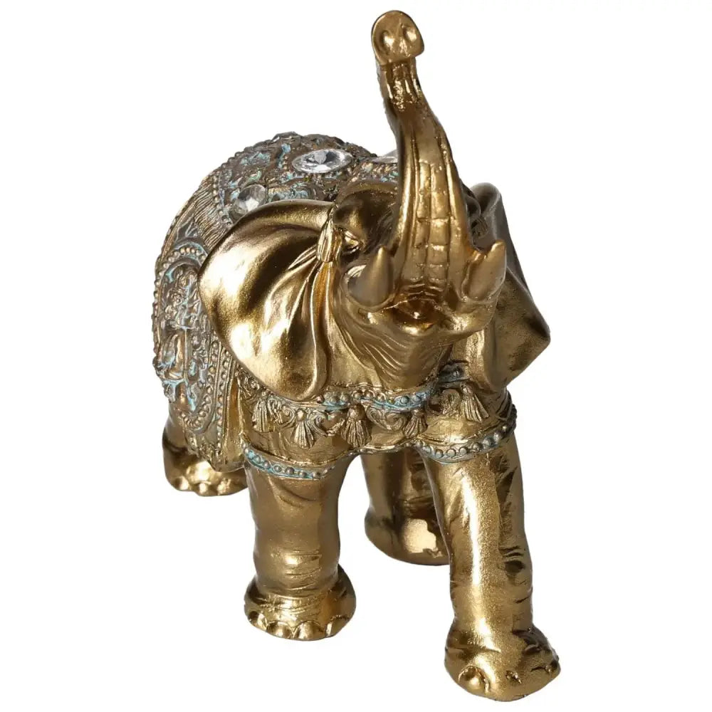 orbitvu|type:image2d