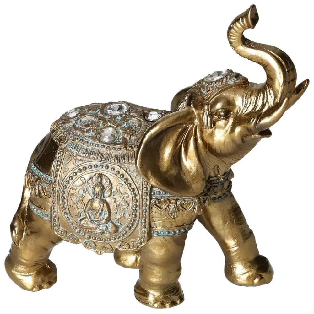 orbitvu|type:image2d