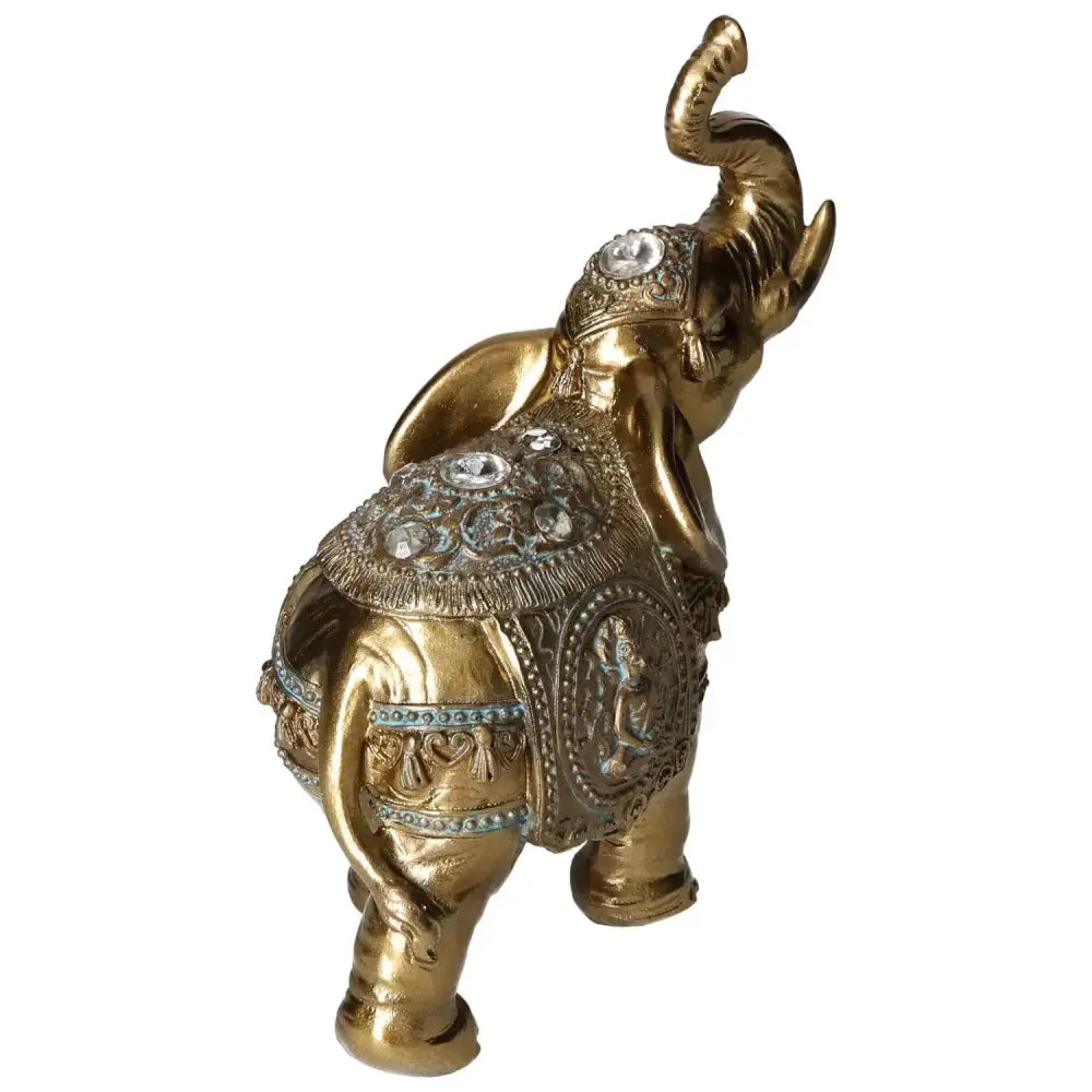 orbitvu|type:image2d