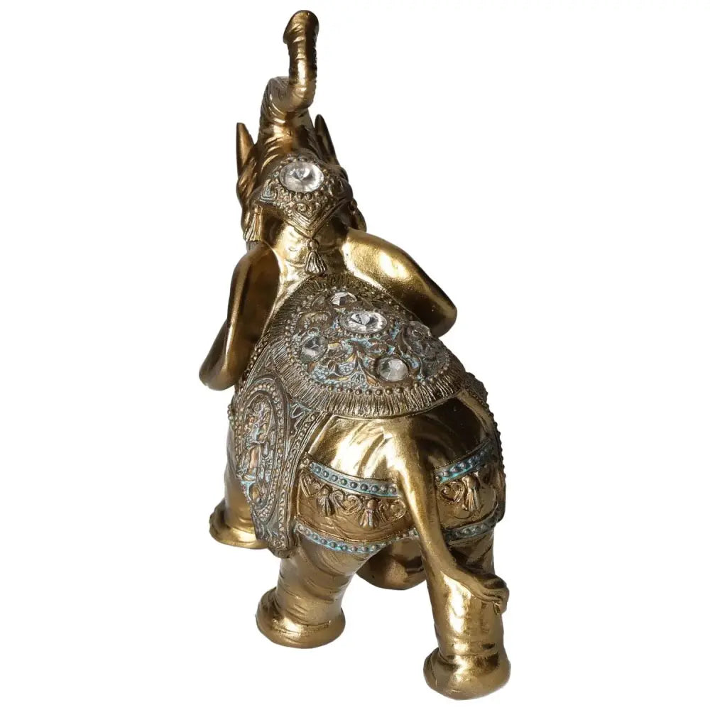 orbitvu|type:image2d