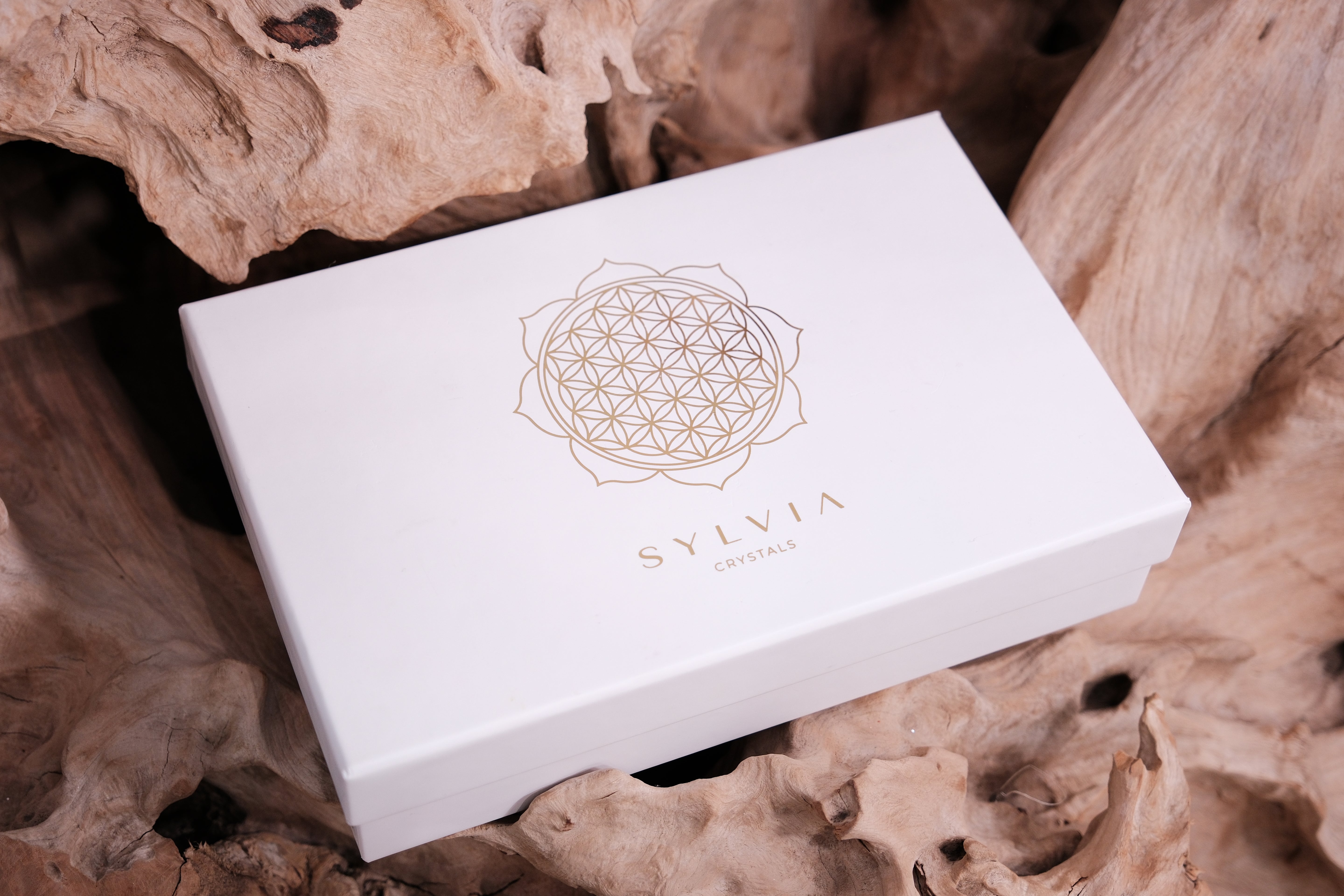 Elegant Sylvia Crystals Christmas Gift Box on rustic wooden background