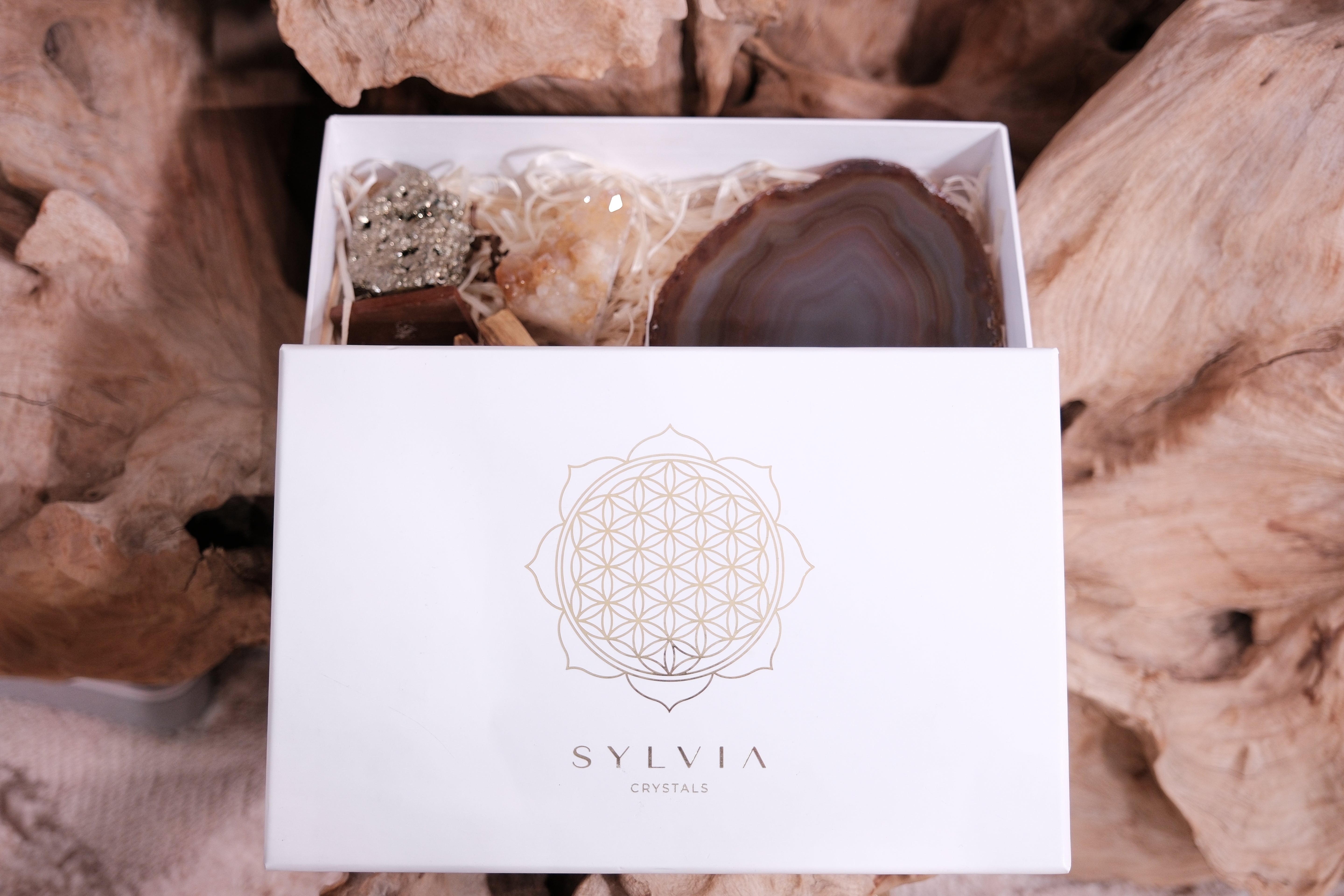 Sylvia Christmas Gift Box with Crystals for Positive Energy and Intention on Wooden Background