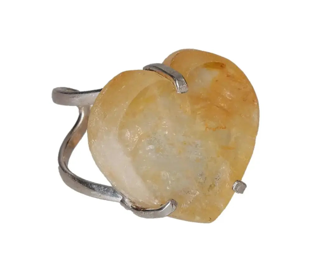 orbitvu|type:image2d