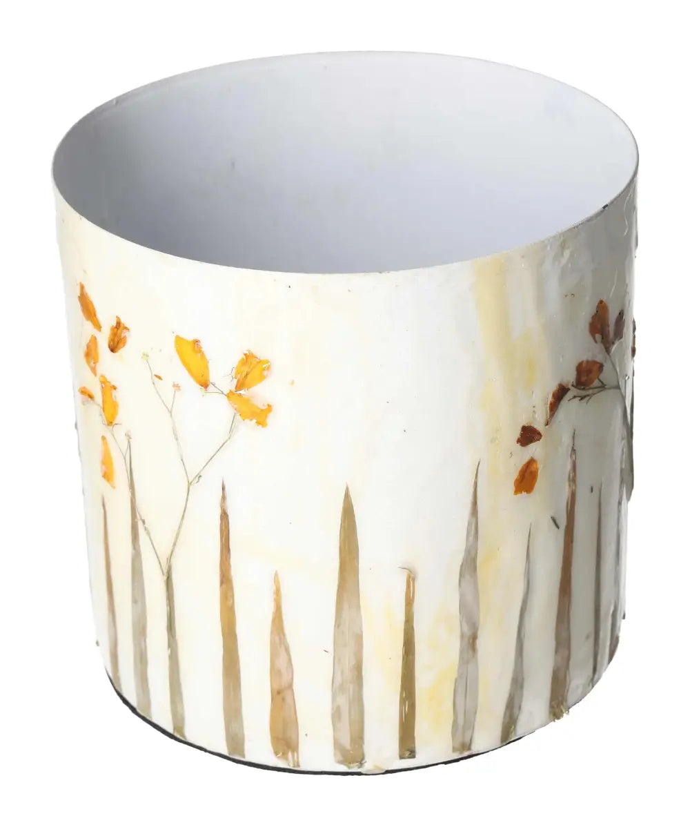 orbitvu|type:image2d