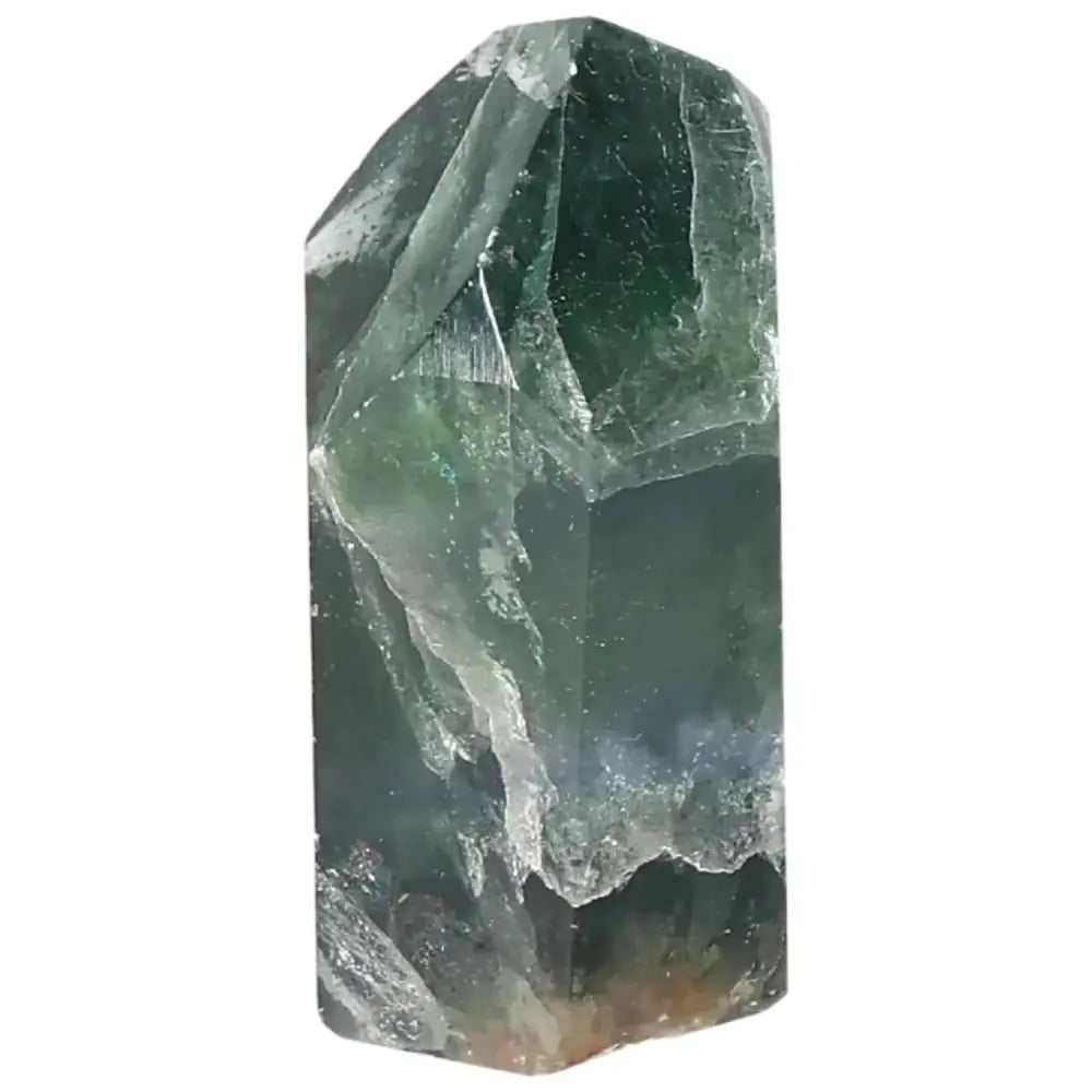 orbitvu|type:image2d