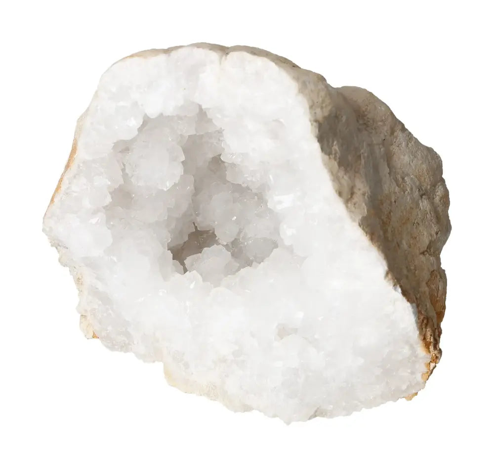 orbitvu|type:image2d