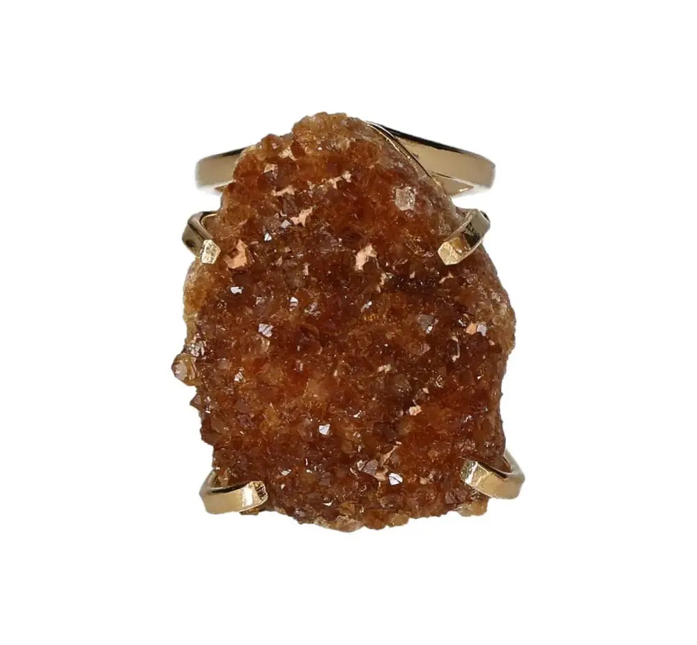 orbitvu|type:image2d