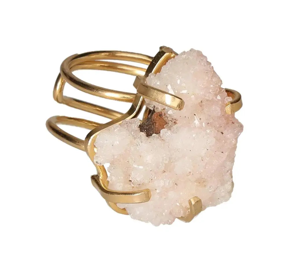 orbitvu|type:image2d