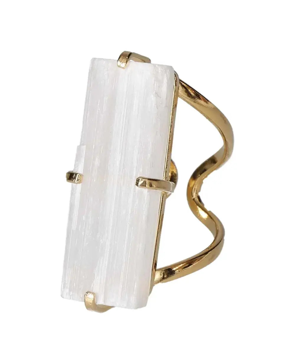 orbitvu|type:image2d