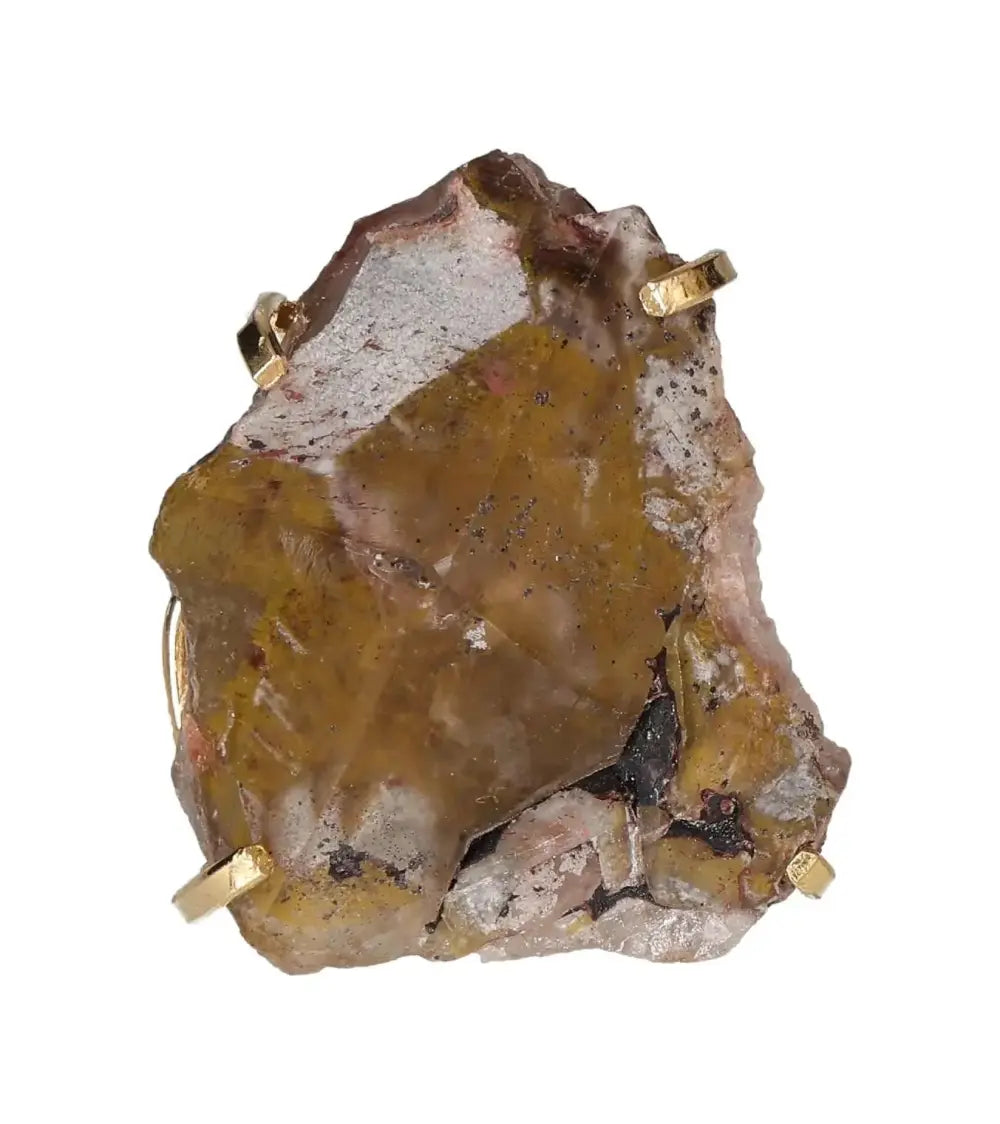 orbitvu|type:image2d