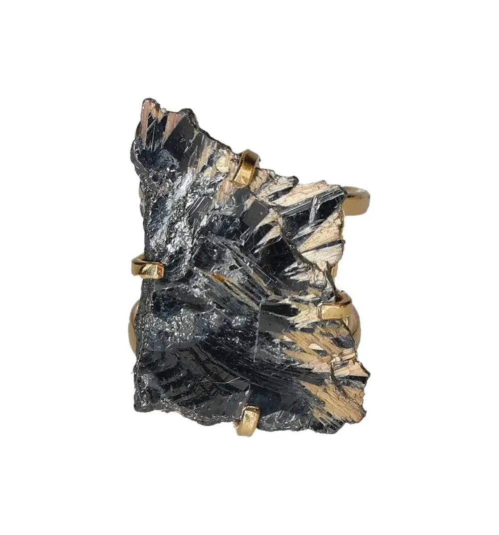 orbitvu|type:image2d