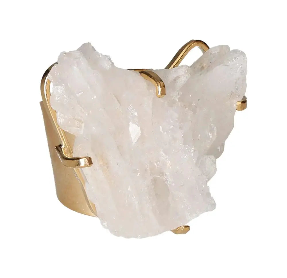 orbitvu|type:image2d