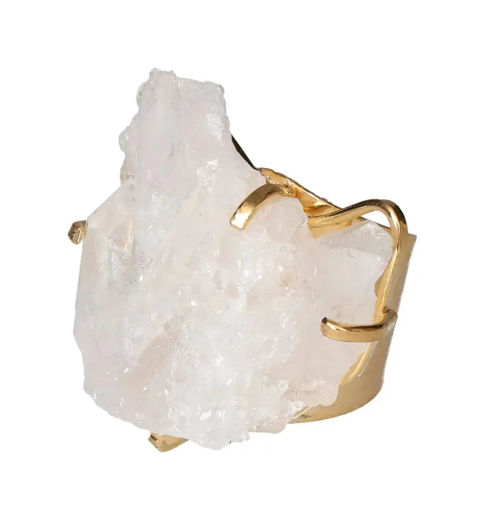 orbitvu|type:image2d