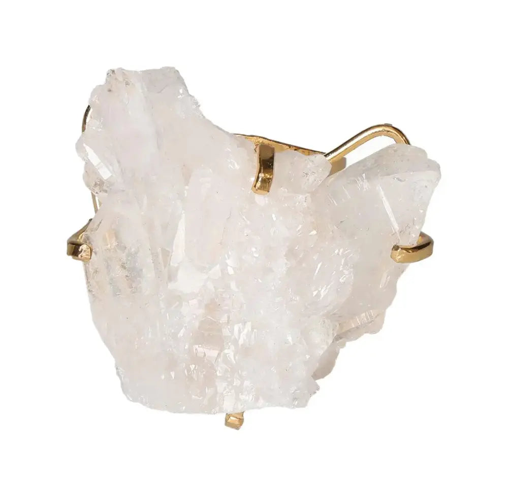 orbitvu|type:image2d