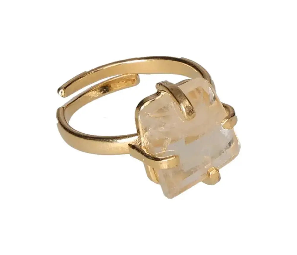 orbitvu|type:image2d