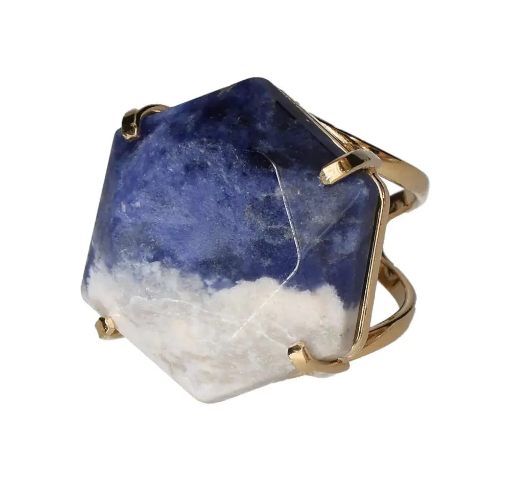 orbitvu|type:image2d