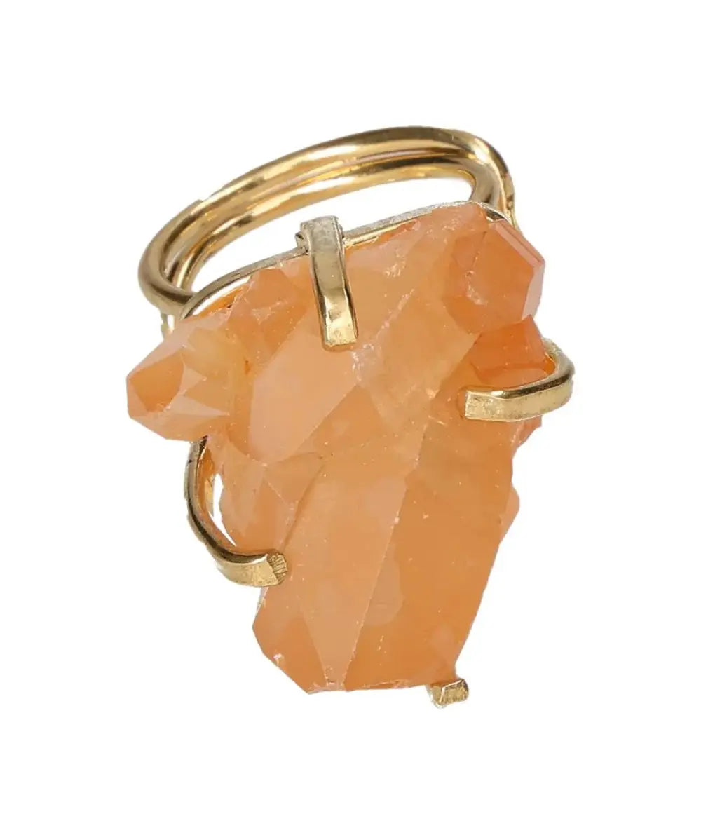 orbitvu|type:image2d