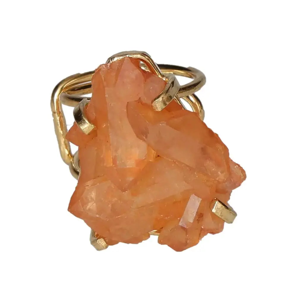 orbitvu|type:image2d