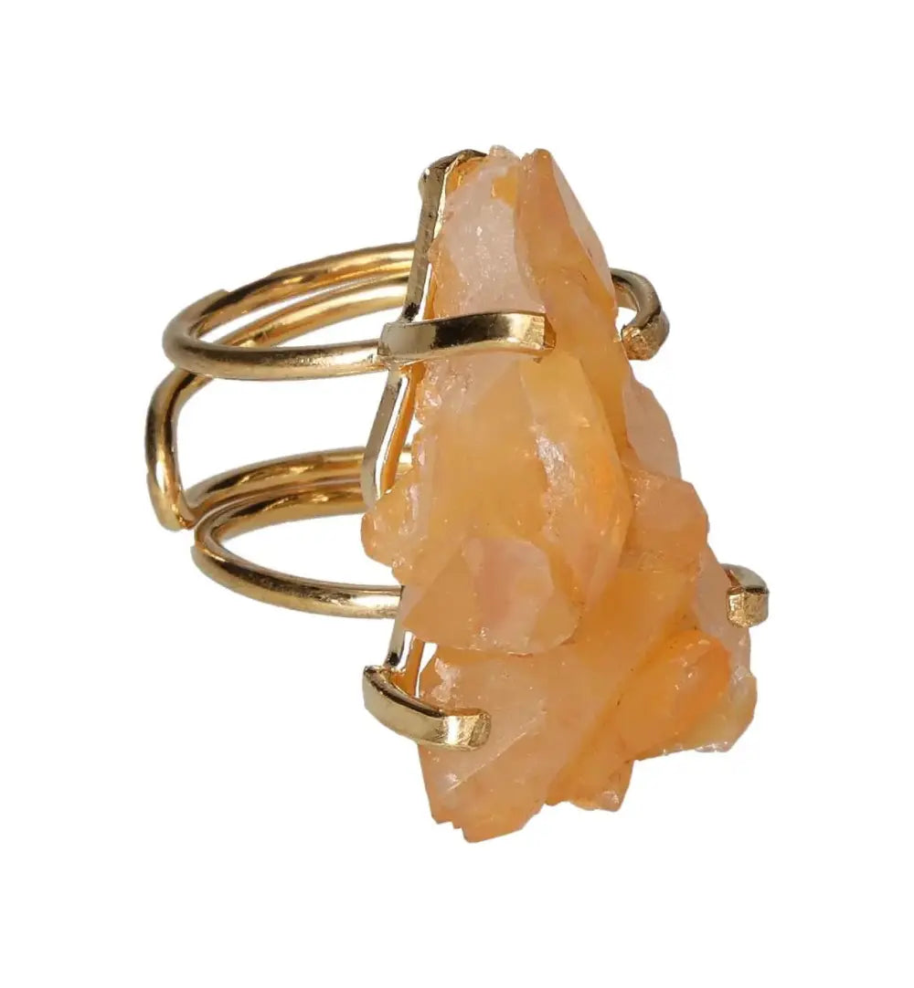 orbitvu|type:image2d