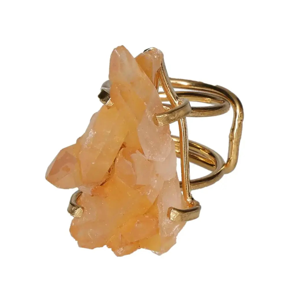 orbitvu|type:image2d