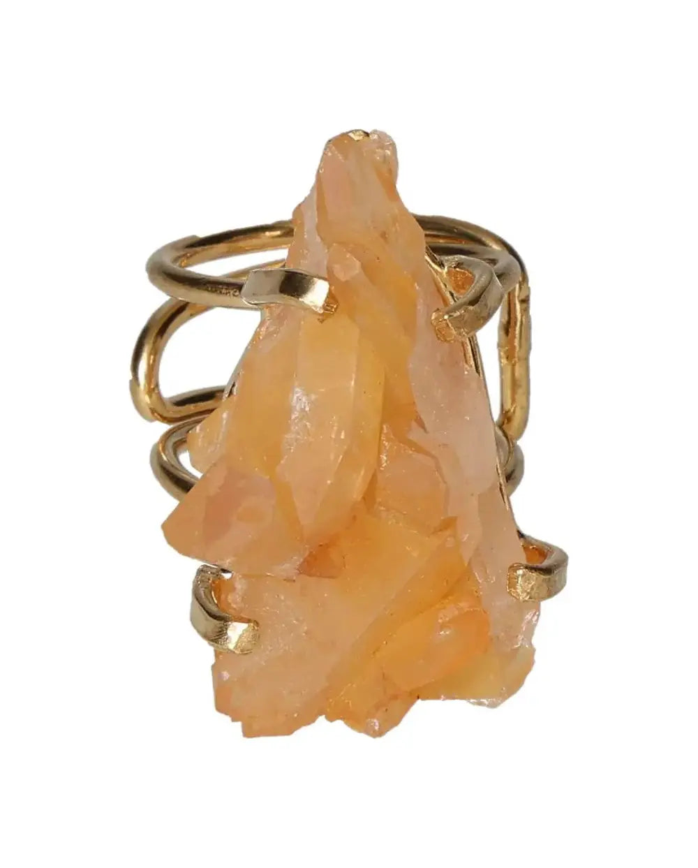 orbitvu|type:image2d