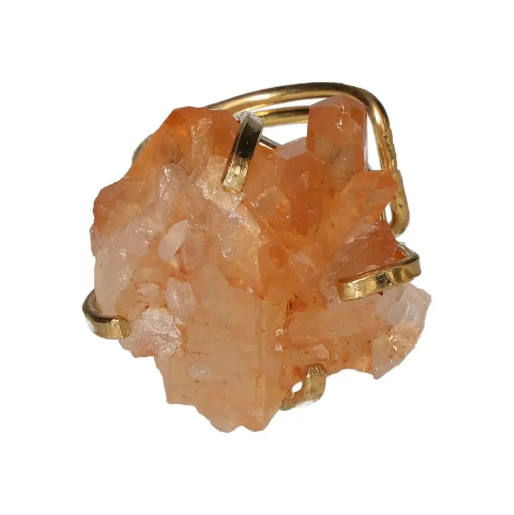 orbitvu|type:image2d