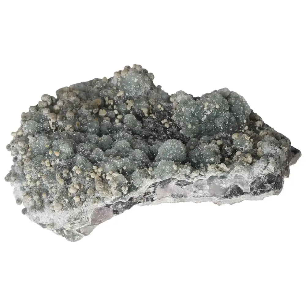 orbitvu|type:image2d