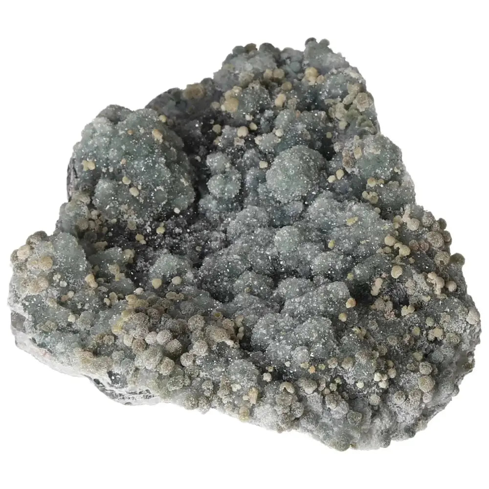 orbitvu|type:image2d