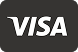 icon visa