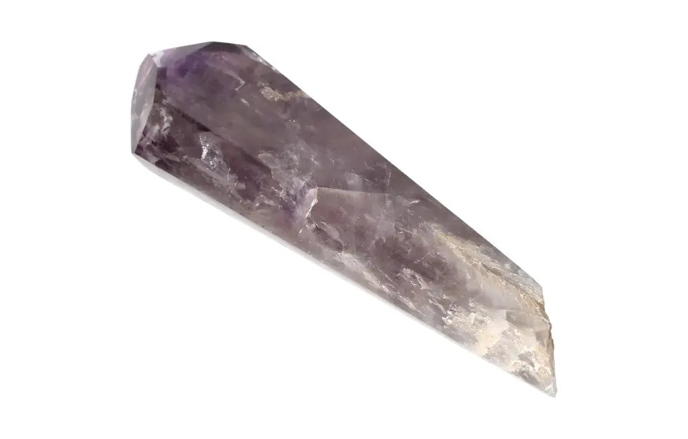 orbitvu|type:image2d