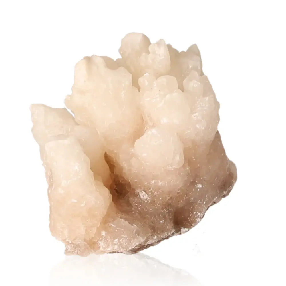 orbitvu|type:ORBITVU 360|https://orbitvu.co/share/ZrooaJ66hKVFVpvQEhhbQW/6389911/360/iframe