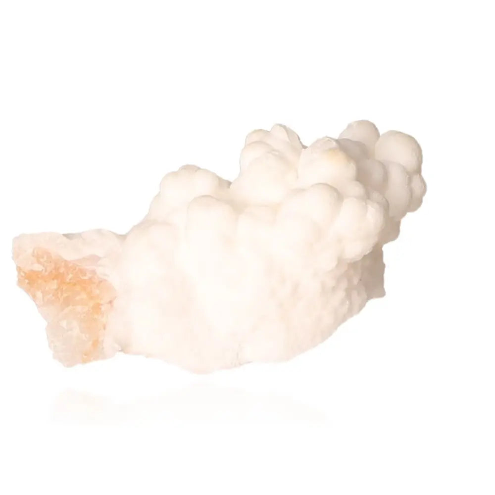 orbitvu|type:ORBITVU 360|https://orbitvu.co/share/CX5fRvK8nvga3F3E92GTVn/6390251/360/iframe