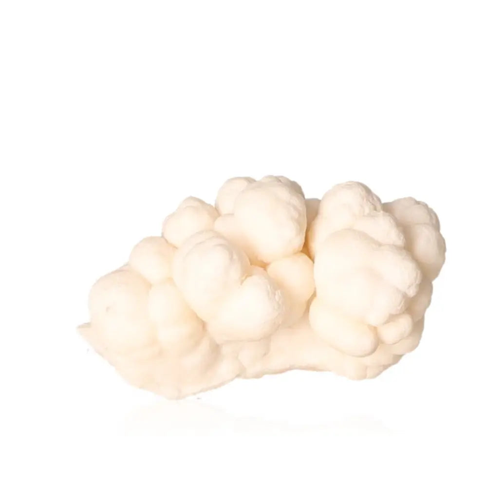 orbitvu|type:ORBITVU 360|https://orbitvu.co/share/u7vpGwjNbH2Qk7cFDd5qwf/6390230/360/iframe