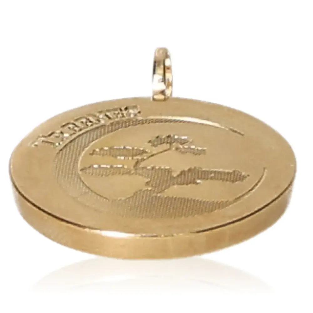 Premium gold 25 mm Sterling 925 pendant with spiral antenna design, absorbs electric smog, 24K plated, 2.7 cm diameter, 3 mm thick.