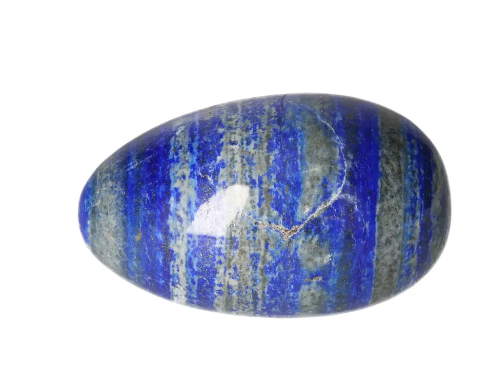 orbitvu|type:image2d