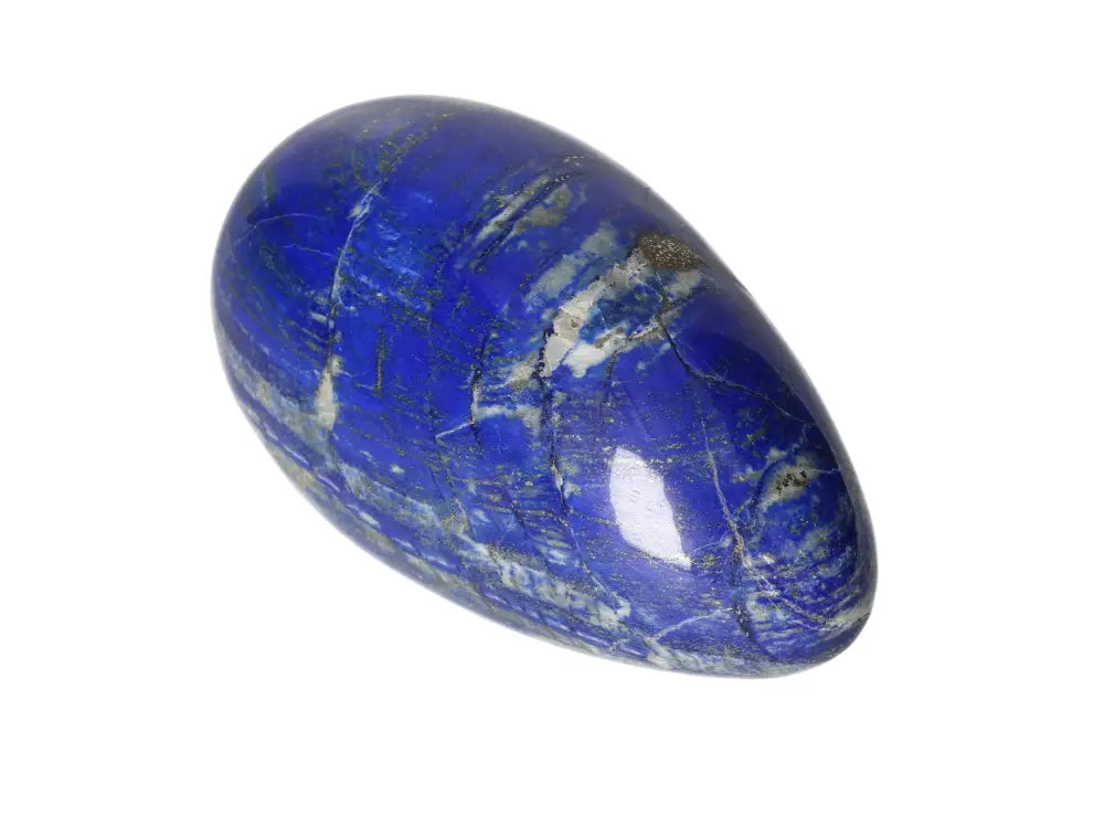 orbitvu|type:image2d