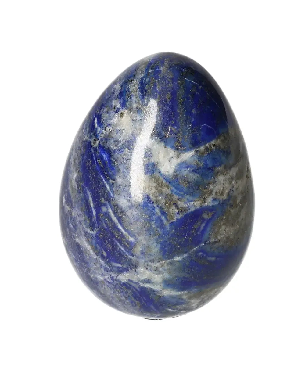 orbitvu|type:image2d