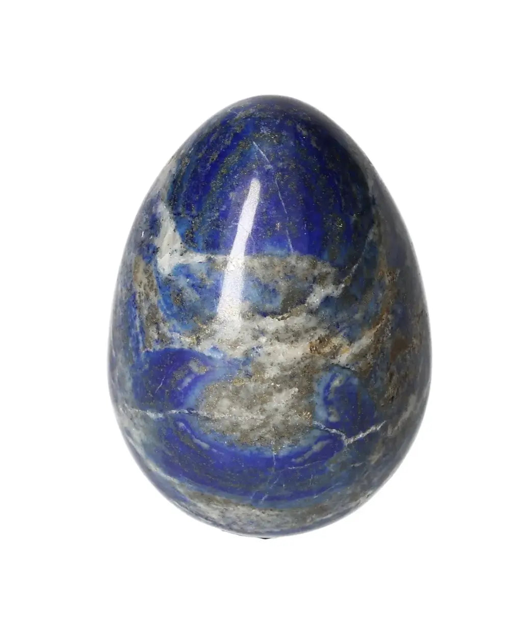 orbitvu|type:image2d