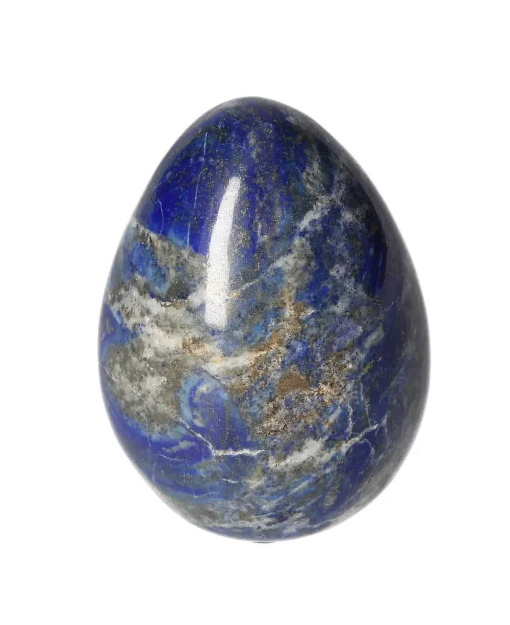 orbitvu|type:image2d