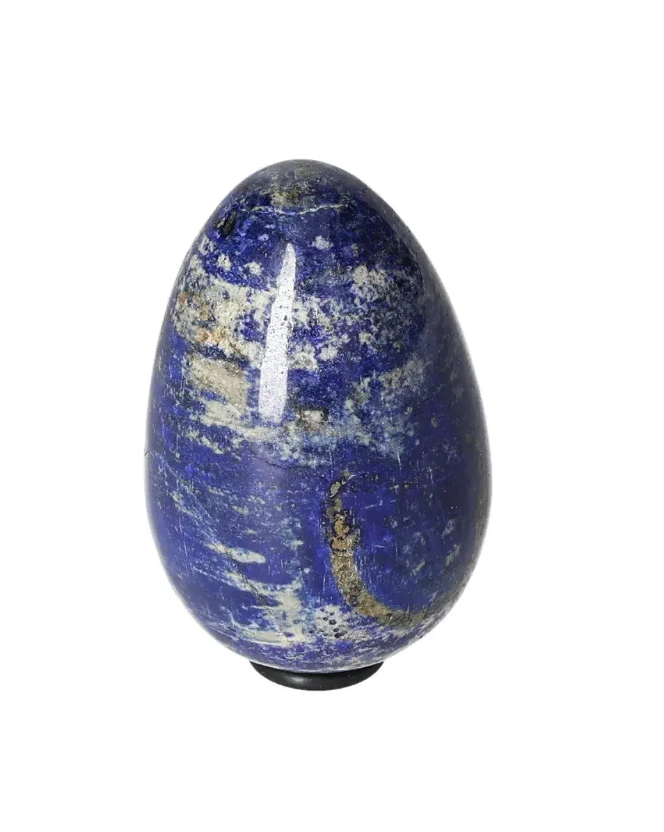 orbitvu|type:image2d