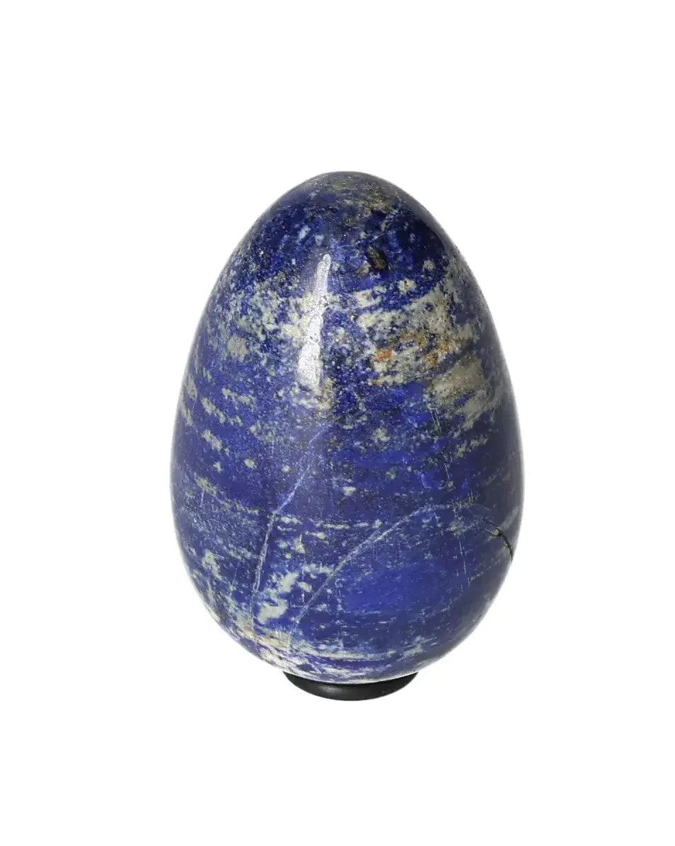 orbitvu|type:image2d