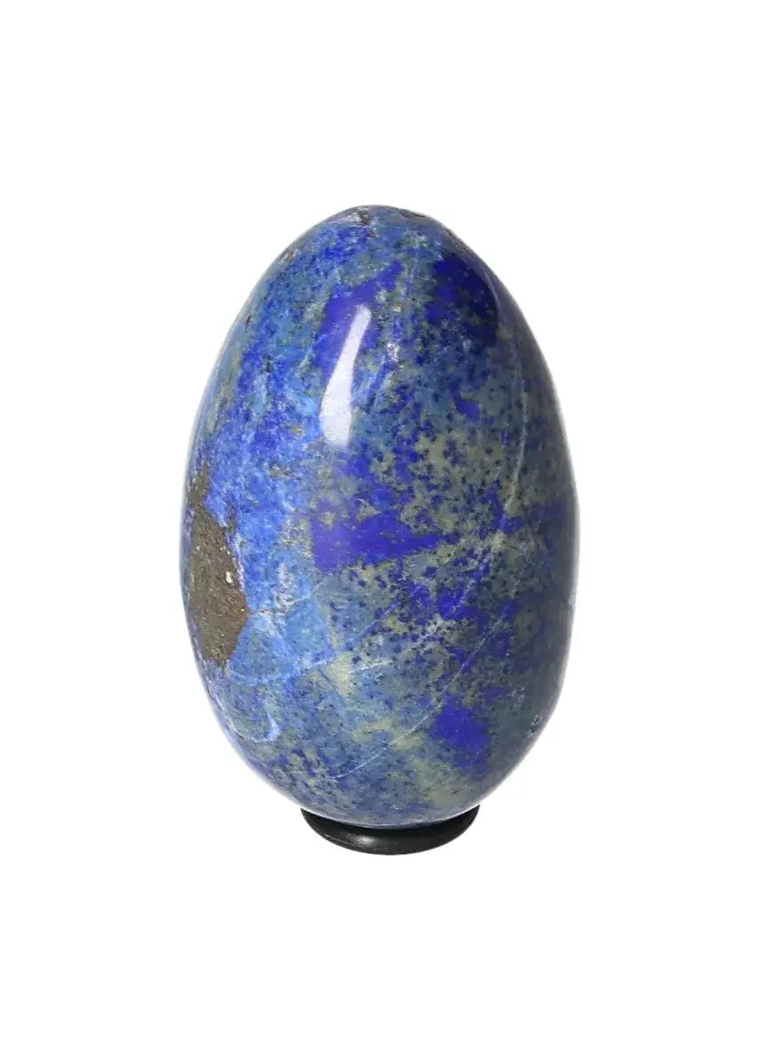 orbitvu|type:image2d