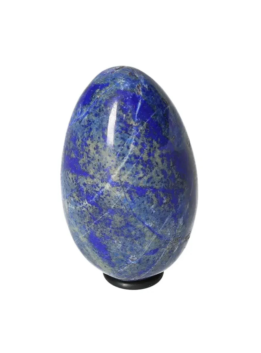 orbitvu|type:image2d