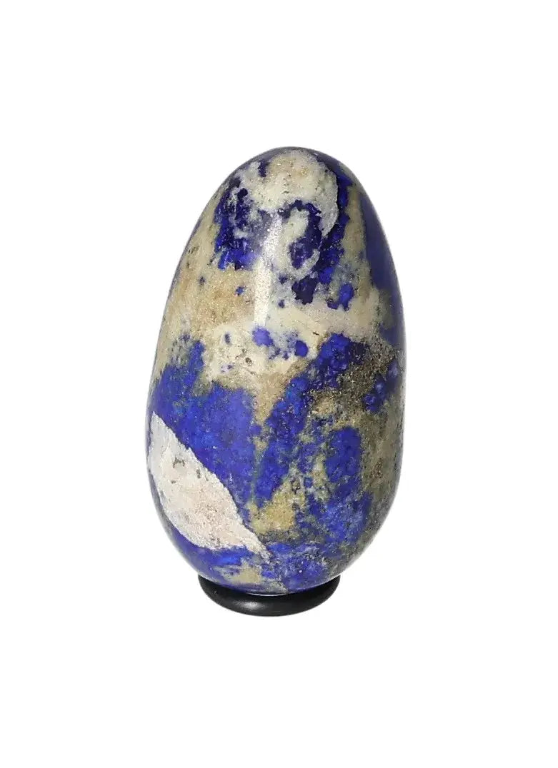 orbitvu|type:image2d