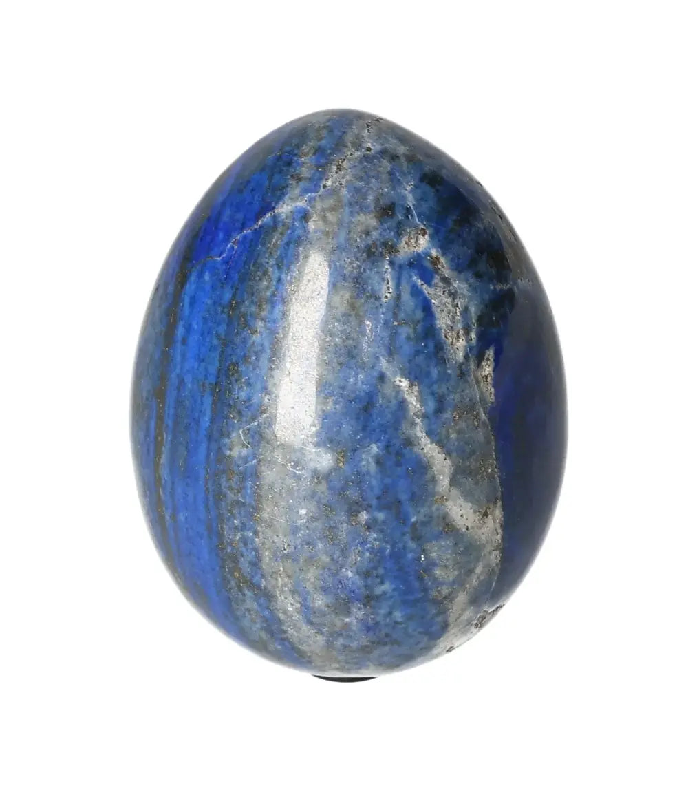 orbitvu|type:image2d