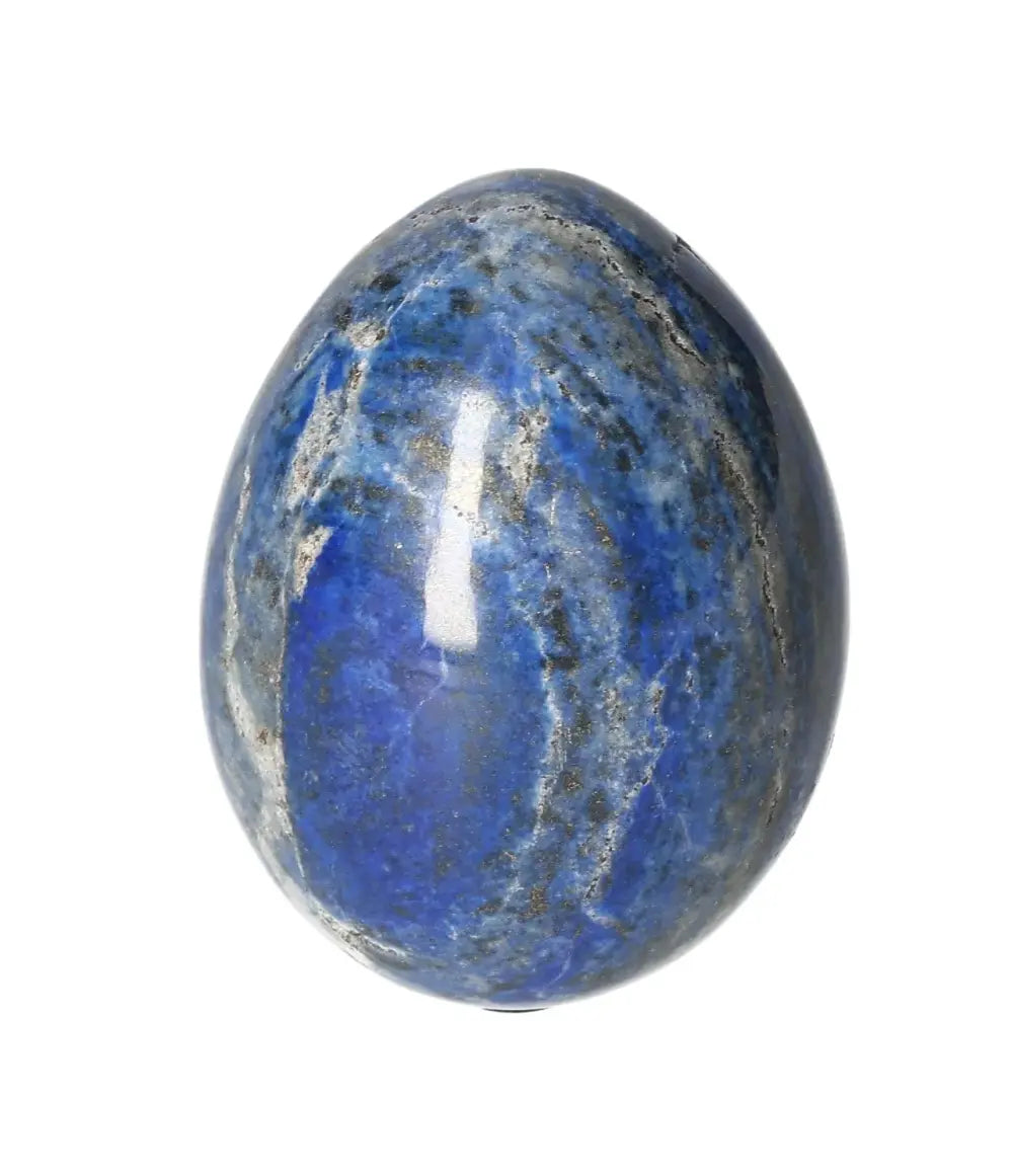 orbitvu|type:image2d