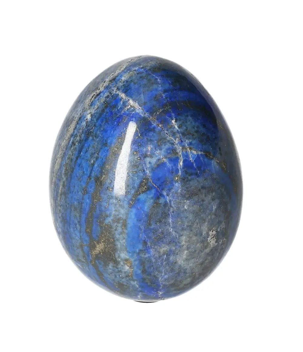 orbitvu|type:image2d