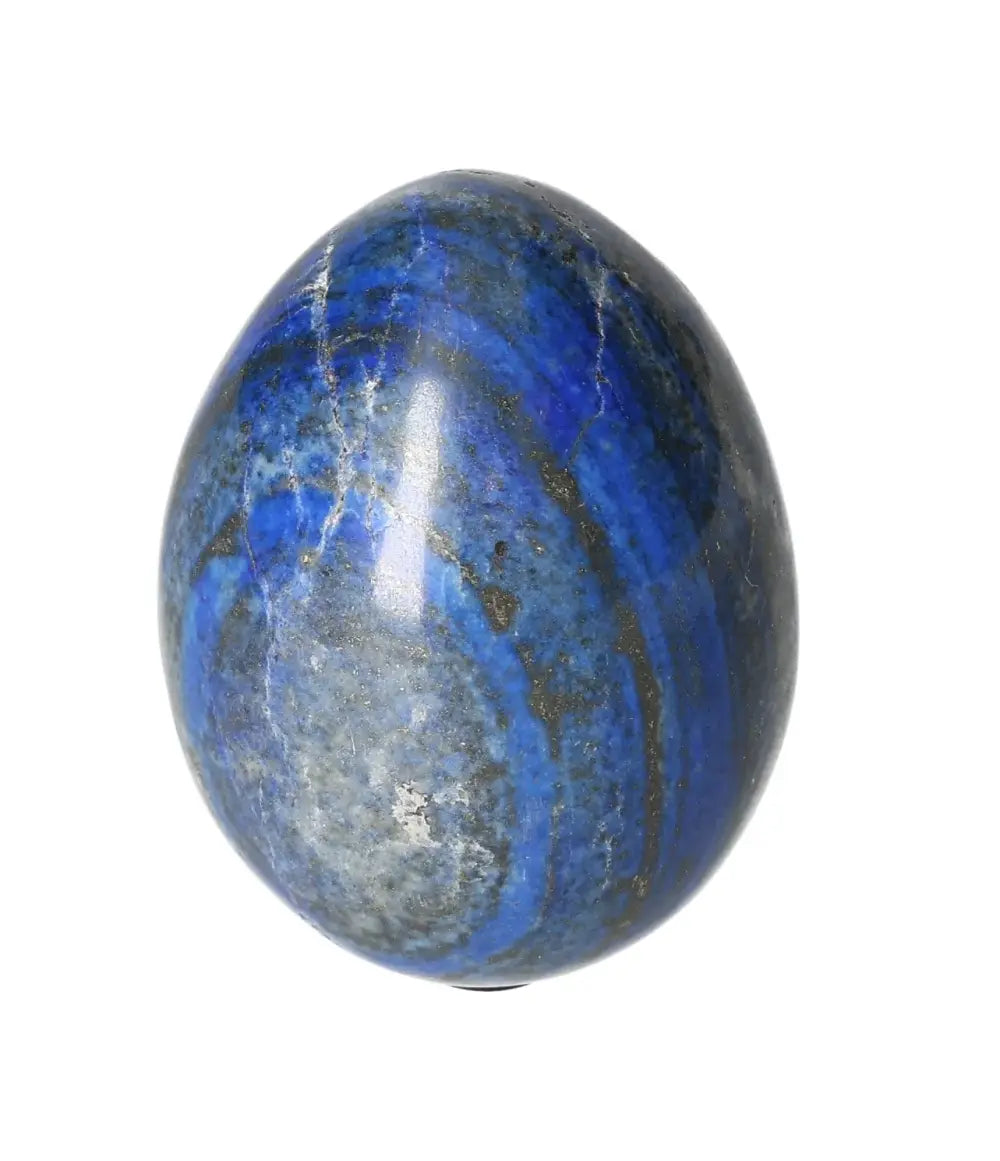 orbitvu|type:image2d