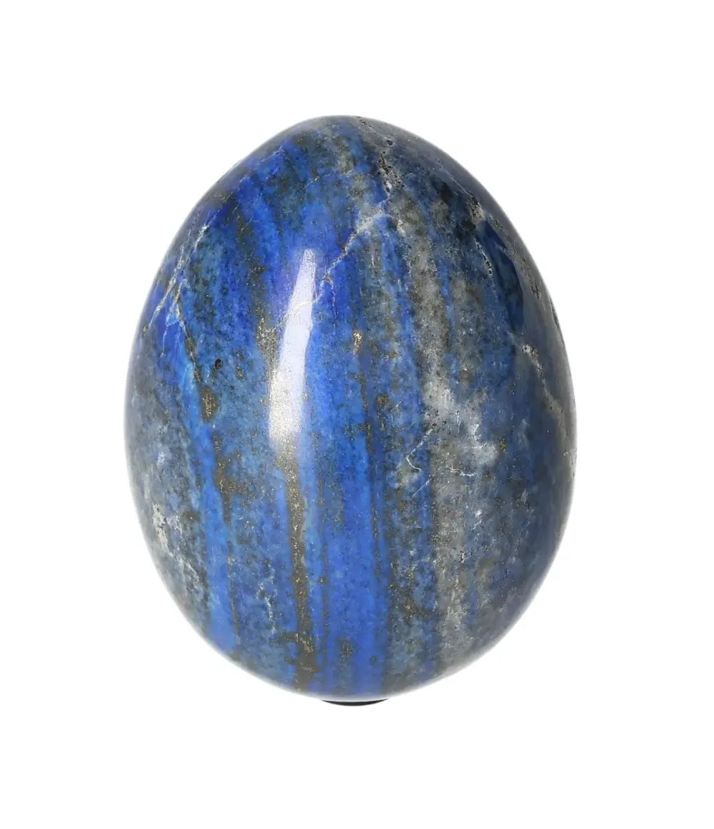 orbitvu|type:image2d