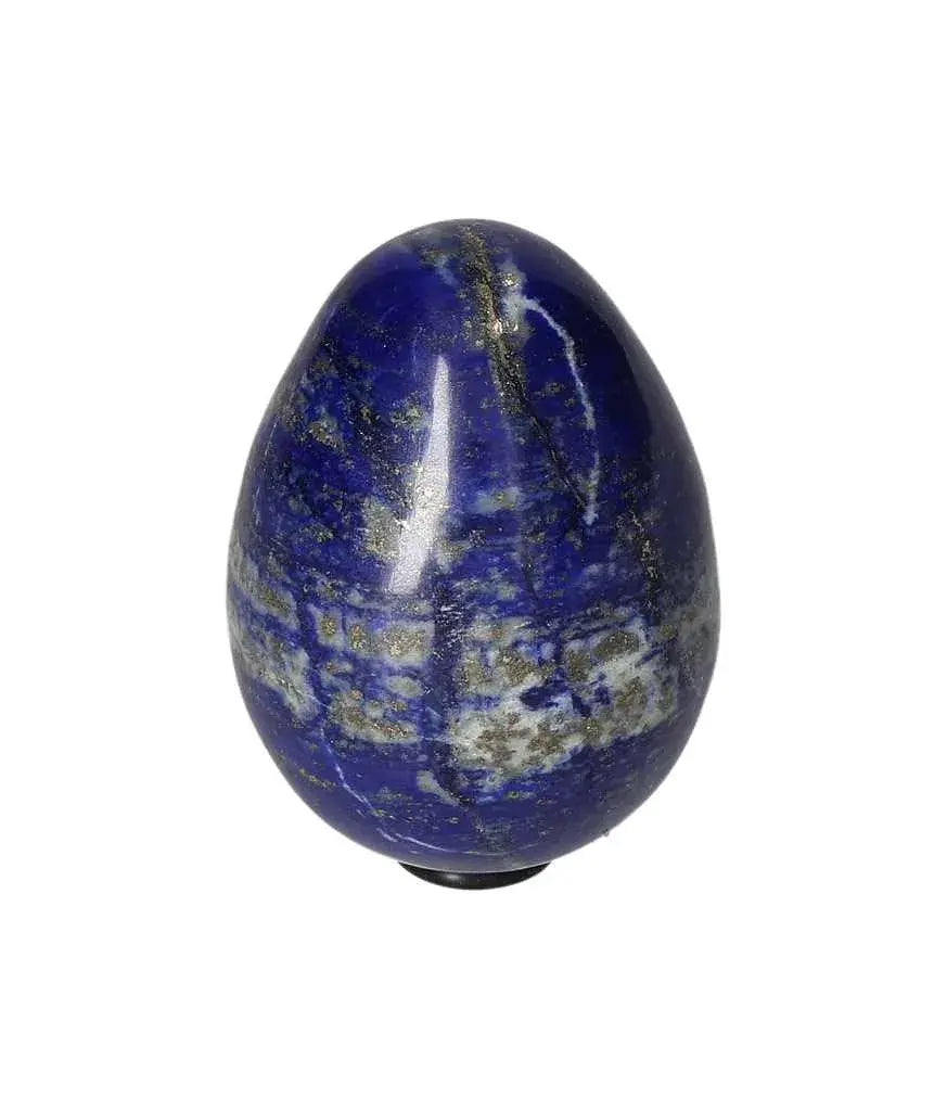 orbitvu|type:image2d